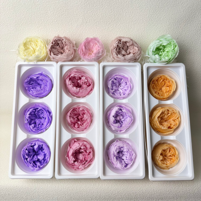 6-7 cm Immortal Peony Eternal David Austin Rose Preserved Peonies Flowers