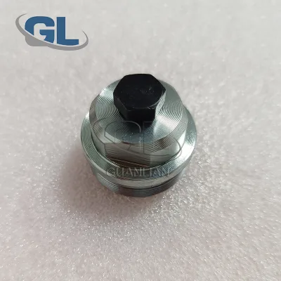 Injection Pump Head Plug 2463452001 for VE Pump
