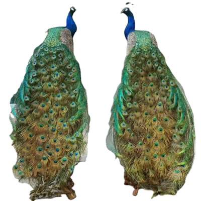 2PCS 170cm Life Size Home Party Wedding Decoration Peacock Beautiful Simulation Peacock Shopping Mall Decoration Peacock
