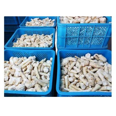 Raw Material Frozen Diced Horseradish 20kg/ctn