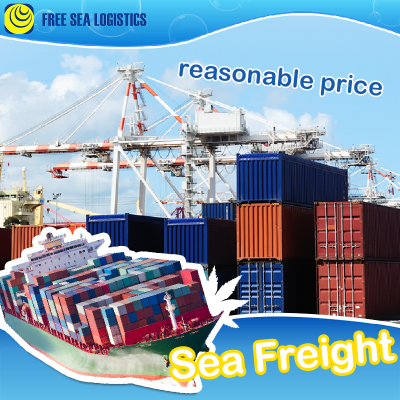 Consolidation Service Consolidated Shipping Cargo Consolidator Freight Companies Agent Shenzhen Shanghai Ningbo China in From