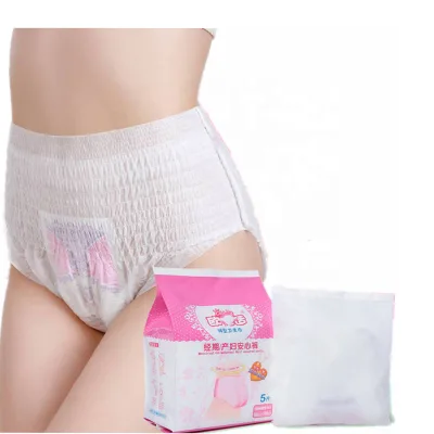 Women Disposable Maternity Super Absorbent Winged Menstrual Panties for Overnight Use One Size