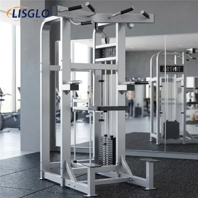 LISGLO Commercial Grade Steel Assisted Pull-Up Suspension Rower Professional Gym Center Strength Training Machine Shoulder Model