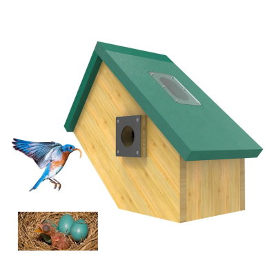 Wooden Bird House Windows Bird House