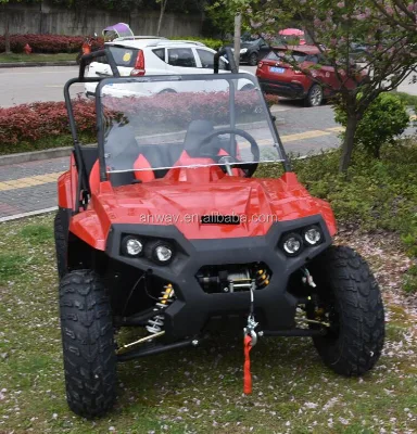 1000w Hub Brushless Motor 2 Seat Electric Utv for Sale
