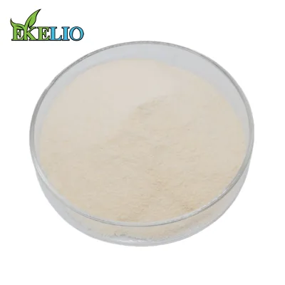 Natural Chitosan Chitin Powder for Sale Shrimp Extract