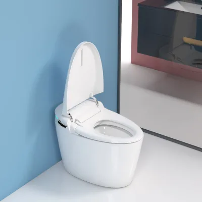 Automatic Smart Toilet Household Instant Hot Siphon S-Trap Wholesale