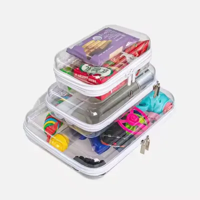 Hard Shell Plastic Clear ,Transparent Travel Hard Zipper Case
