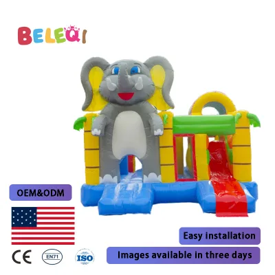 2025 Customizable Inflatable Trampoline Popular Bungee Trampoline Salable Indoor Playground Suitable for Children of All Ages