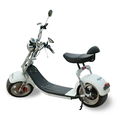Netherlands Stock Dogebos Sc14 Battery Electric Motorcycle Fat Tire Eec Electric Motorcycle