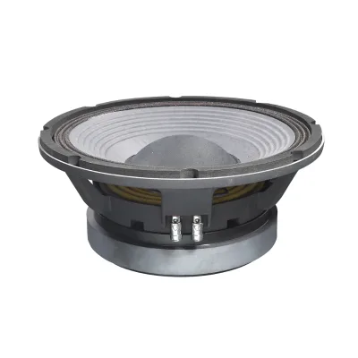 HIPOWER Professional 12-Inch DJ Bass Subwoofer Speaker L12/8402 450W 8 Passive Stage Speaker