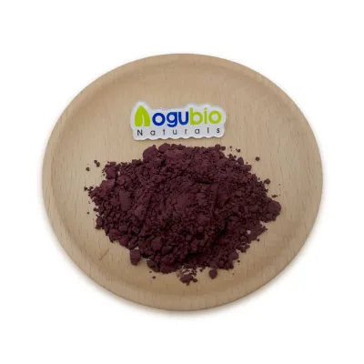 Natural Extract 95% OPC Proanthocyanidin Powder Grape Seed Extract