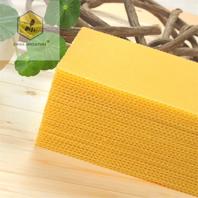 Beekeeping Tools 2019 Beeswax Foundation Sheet for Apis Cerana
