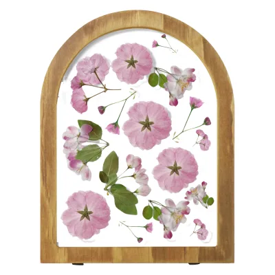 Botanical Specimen Natural MDF Double-Sided Embossed Foldable Washable Modern Wall Mount Photo Frame with Changeable Size
