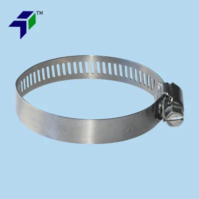 Competitive High Quality Professional Hose Clamps Abrazadera Factory t Bolt Hose Clamp