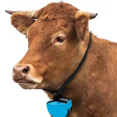 Cattle Locator Smart Farm Animal Husbandry Intelligent Management System Sheep Locator Smart Health Detection System Gps Tracker