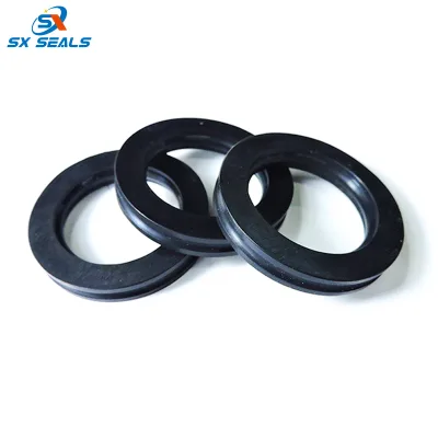 FS Wellhead Seals in HSN