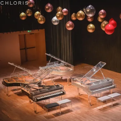 Luxury Black Acrylic and Mechanical Grand Piano Keyboard Instrument Acoustic Piano HG-168A