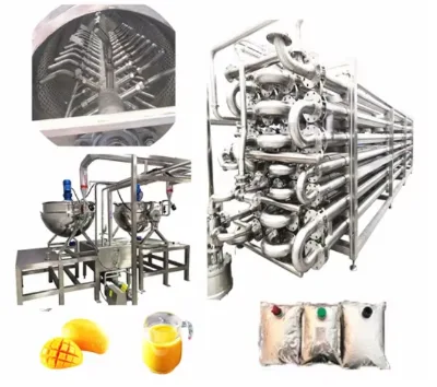 Mango Pulp Production Line with Customizable Voltage for Senegal Ghana and Togo African Countries