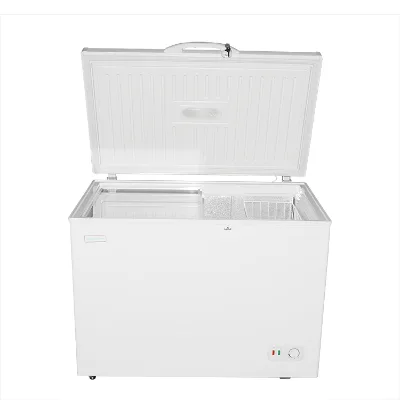 Horizontal Deep Chest Freezer Fridges Home Electric Customized Single Door SWING Door UV Printing Free Spare Parts Nomad Freezer