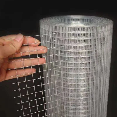 Eyelash Tools Circular Stainless Steel Decorative Wire Cloth Matting Hot-Dip Galvanized Welded Mesh