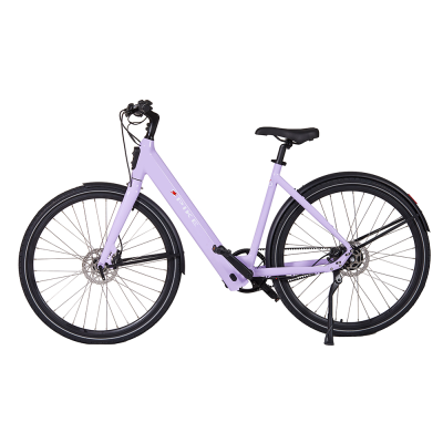 Tenways Stock Gld-Esa 36v10ah 21700 Lithium Battery 250w 36n Mcity Bike Aluminum Alloy Elektrikli Bisiklet  Elektrofahrrad