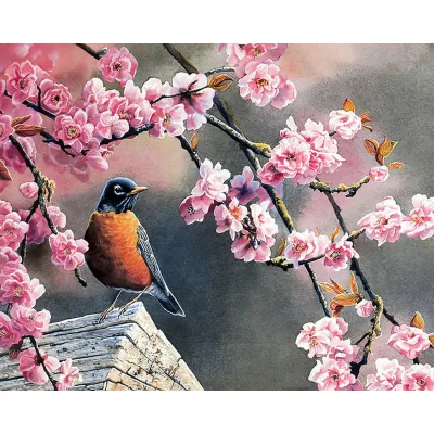 CHENISTORY 99233 Oil Diy Paint by Numbers Magpie on Canvas for Kits No Frame