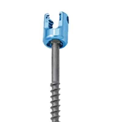 Hot Sale Titanium Low Profile Polyaxial Pedicle Screw System for Spinal Fixation