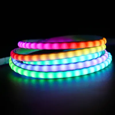 5V 5mm Full-Color COB LED Strip RGB Chasing Light with WS2812b Smart Control From Shenzhen CE Rohs