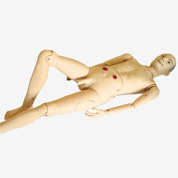 Multifunctional Male Senior Nursing Manikin for Medical Science