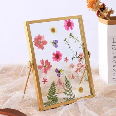 Modern Square Glass Flower Frame with Metal Base for Desktop Photo Display Office Desk Organizer