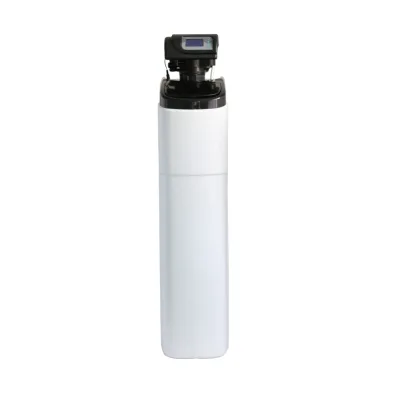 Nature Water SOFT-D Electric Cabinet Type 2T/H Water Softener Made Zhejiang Efficient Small Softener for Household Hotel Use
