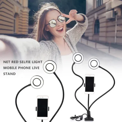 24W Dual-Head Desktop Clip Adjustable Phone Stand with LED Selfie Ring Light for Meiyuan Live Streaming