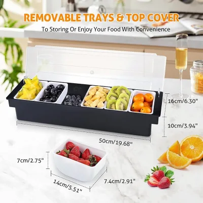 Food Grade Plastic Strips Seasoning Tray Six-Grid Fruit Storage Container with Lid, Fresh-Keeping Box, Bar Seasoning Organizer