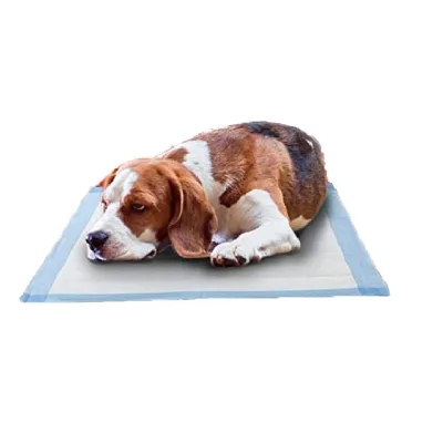 Authorized Wholesale Distributor Pet Training Pad