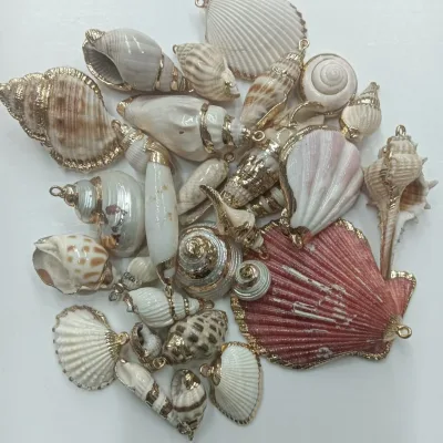 Natural Golden Shell Charms, Shell Beads for DIY Necklaces Jewelry Making