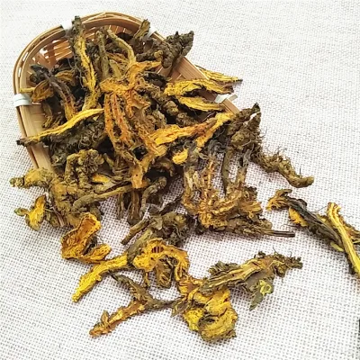 Huang Lian Chinese Herbs Dried Coptis Chinensis Root Rhizoma Coptidis for Sale