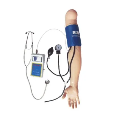 Medical Science Advanced Multi-Functional Blood Pressure Training Arm for Teaching