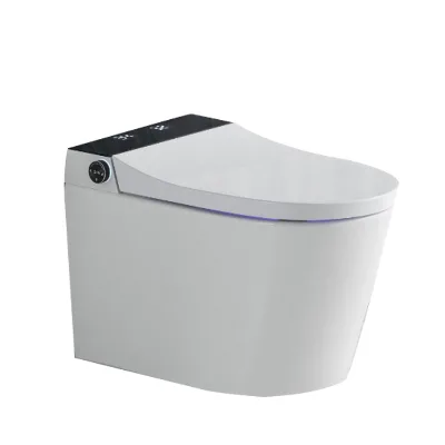 European Standard Smart Toilet Wall Mounted Smart Toilet Wall Mounted Smart Toilet