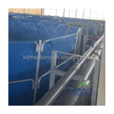 Fish Farm Plastic Custom System Equipment Plastic Fish Aquaculture Tanks Round Foldable Fish Tanks