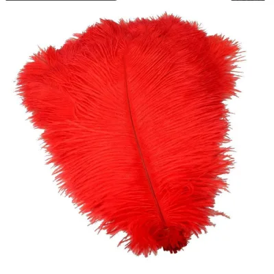 Wholesale High Quality Cheap Red Bulk Large Ostrich Feathers for Sale
