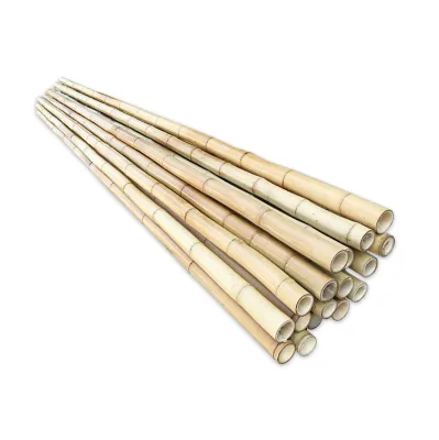 Custom Size Tonkin Bamboo Poles Stakes for Plants Supporting