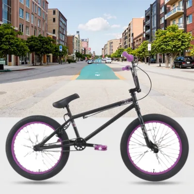 ERMA Durable Hot Sale 20 Inch Single Speed Steel Fork Disc Brake Lightweight Robust Freestyle BMX Bike Adult Street Usage