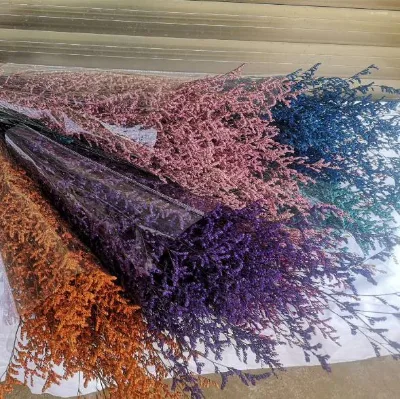 Hot Sale Natural Preserved Plants Natural Dried Grass Plant Preserved Caspia Flowers