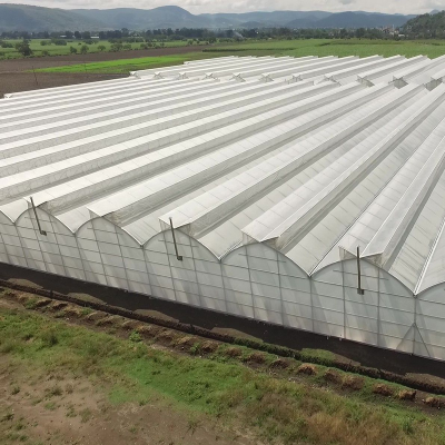 Large Gothic Green House for Vegetable Fruits Flowers