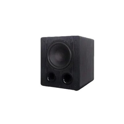 ToneWinner 10 Inch 200W High Powered Subwoofer Bass Wood Subwoofer High Quality Balance Input Subwoofer