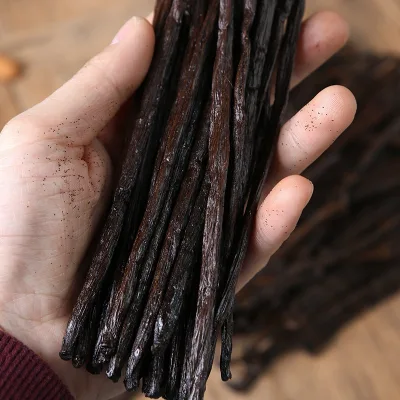 Factory Vanilla Planifolia Andrews High Quality