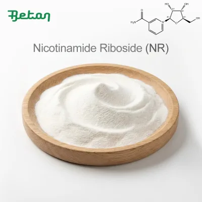 Bulk Raw Material Pure Liposomal 99% NR (Nicotinamide Riboside Chloride) Powder in Food Cas 1341-23-7 NRCL