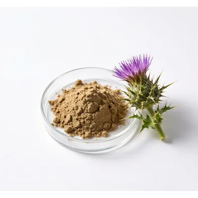 Bulk Wholesale Milk Thistle Seed Extract 10:1 20:1 Spray Dried Powder OEM Private Label Food Grade Factory Direct Price