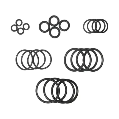 High Temperature Resistance FFKM O Ring FKM Fluoroelastomers High Fluorine Content Chemical Resistant Rubber O Ring Oil Seal
